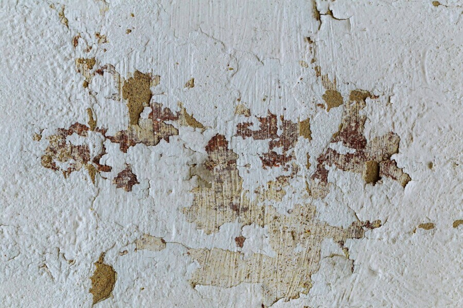 Dlaczego farba schodzi ze ściany i jak temu zapobiec?